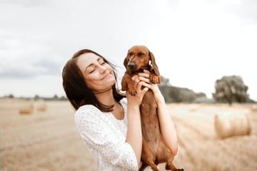 animal de compagnie chien