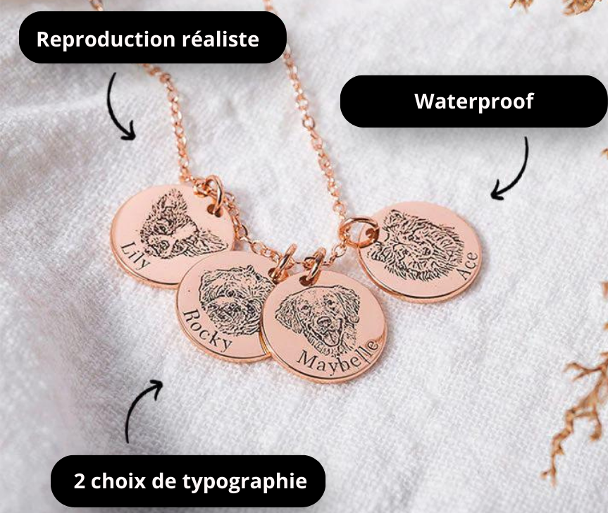 collier personnalisé animal de compagnie