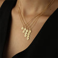 collier gravé animal de compagnie